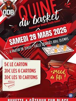 Image Quine Olemps Druelle Basket (photo 1)