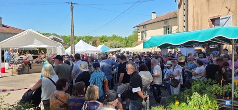 Image 44 eme Foire aux Occasions (photo 1)