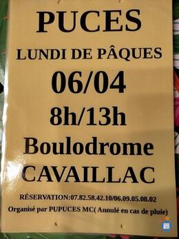 Image Puces du Lundi de Pâques (photo 1)