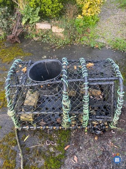 Image Vide (photo 1)