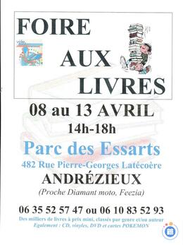 Image Foire aux livres, Vinyles, DVD, CD et cartes POKEMON (photo 1)