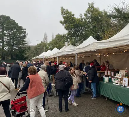 Affiche Marche de noel d'adel's