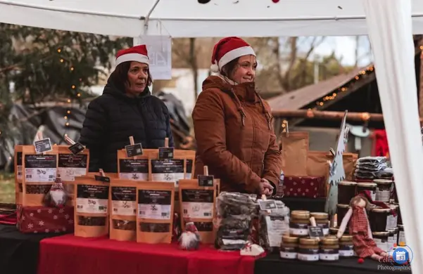 Affiche Marché de Noël Bourse aux jouets