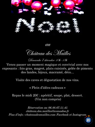 Affiche Noel au Chateau des Mailles