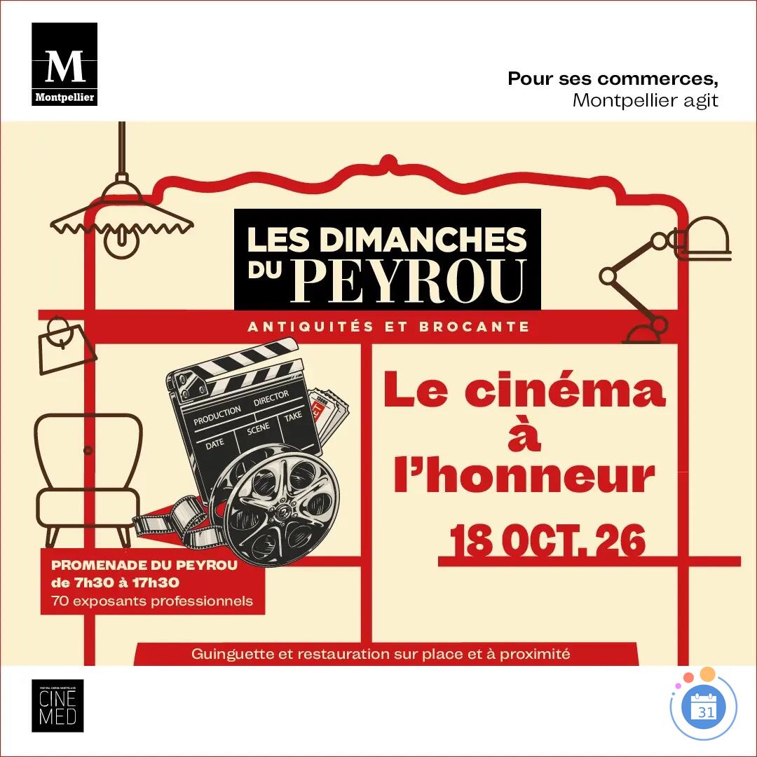 Image Le cinéma à l'honneur (photo 1)