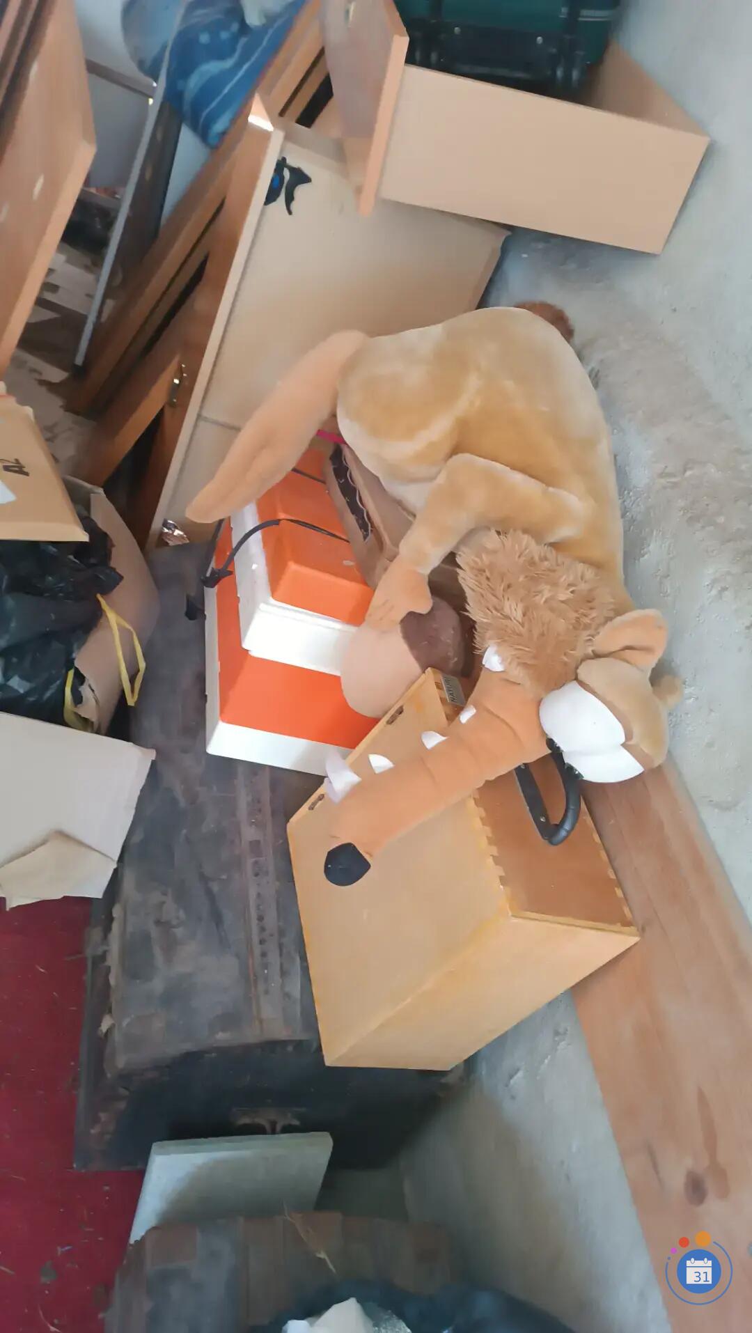 Image Vide maison dans mon garage (photo 3)
