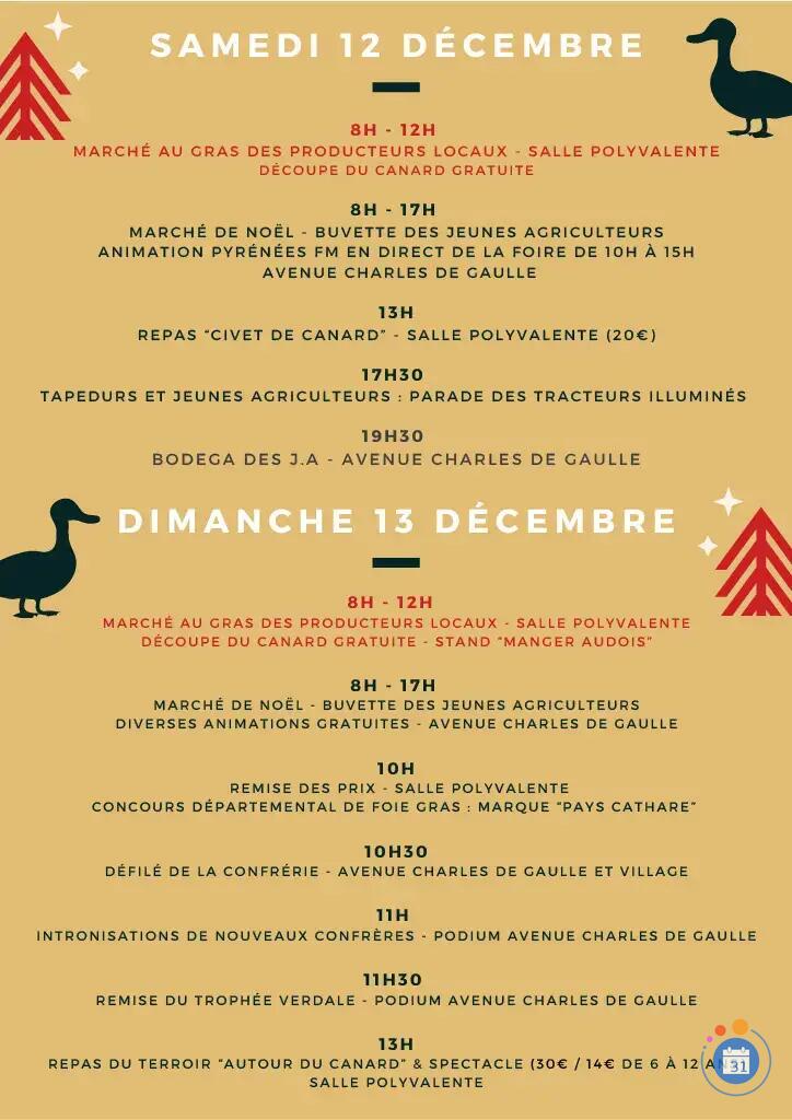 Image 50 eme Foire au gras et son Marché de Noël (photo 2)