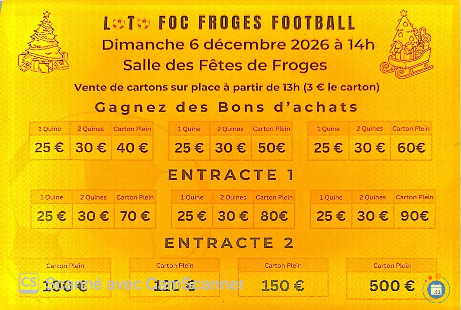 Image loto foc froges football (photo 1)
