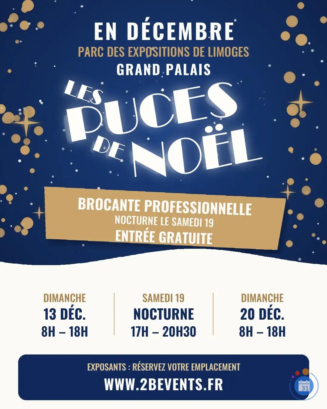 Image Les puces de Noël (photo 1)