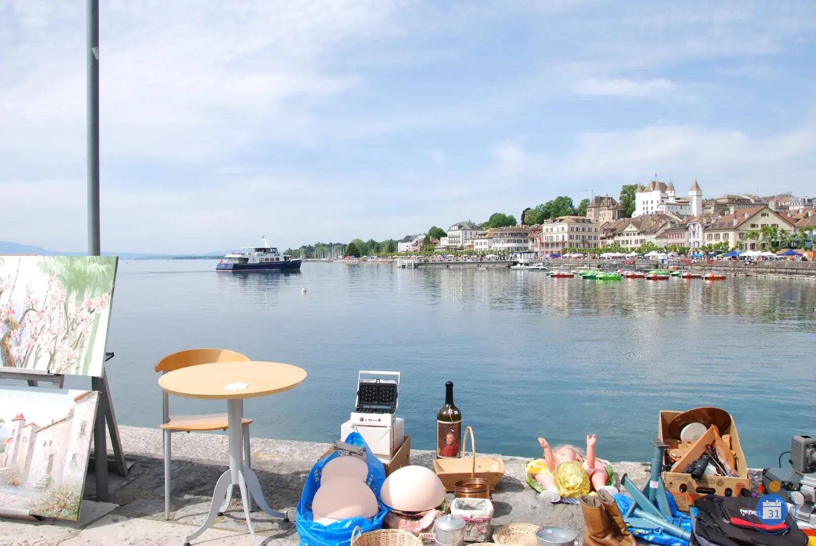 Image Les puces de Nyon (photo 2)