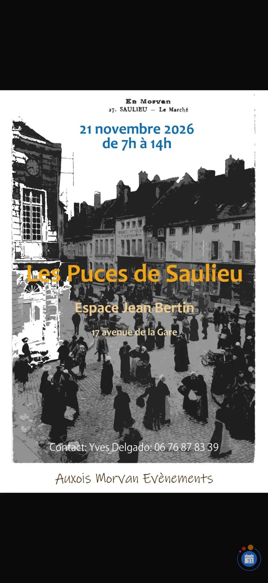 Image Les Puces de Saulieu (photo 1)