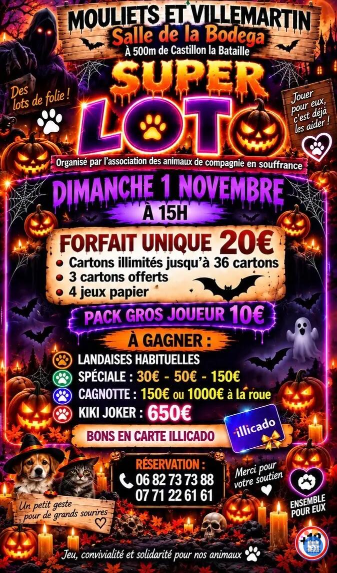 Image LOTO FORFAIT UNIQUE 20€ (photo 1)
