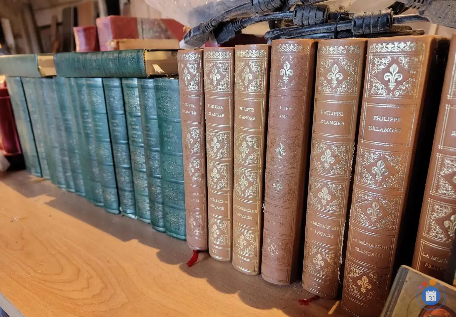 Image Vide maison 2 - spécial livres (photo 2)