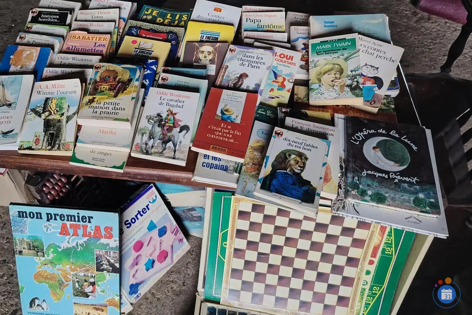 Image Vide maison 2 - spécial livres (photo 3)
