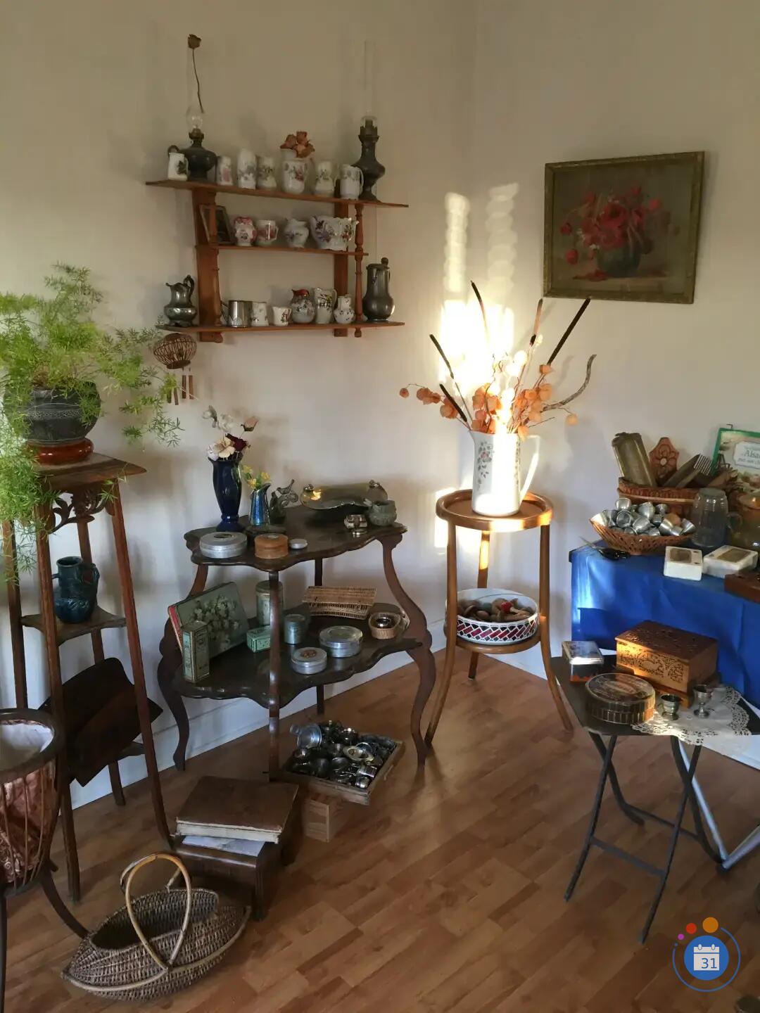 Image VIDE-APPARTEMENT D'UNE CHINEUSE COLLECTIONNEUSE (photo 2)