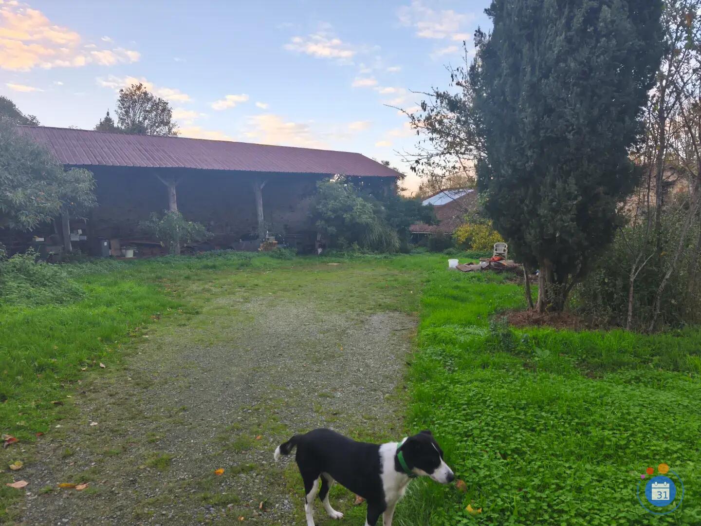 Image Vide maison (photo 2)