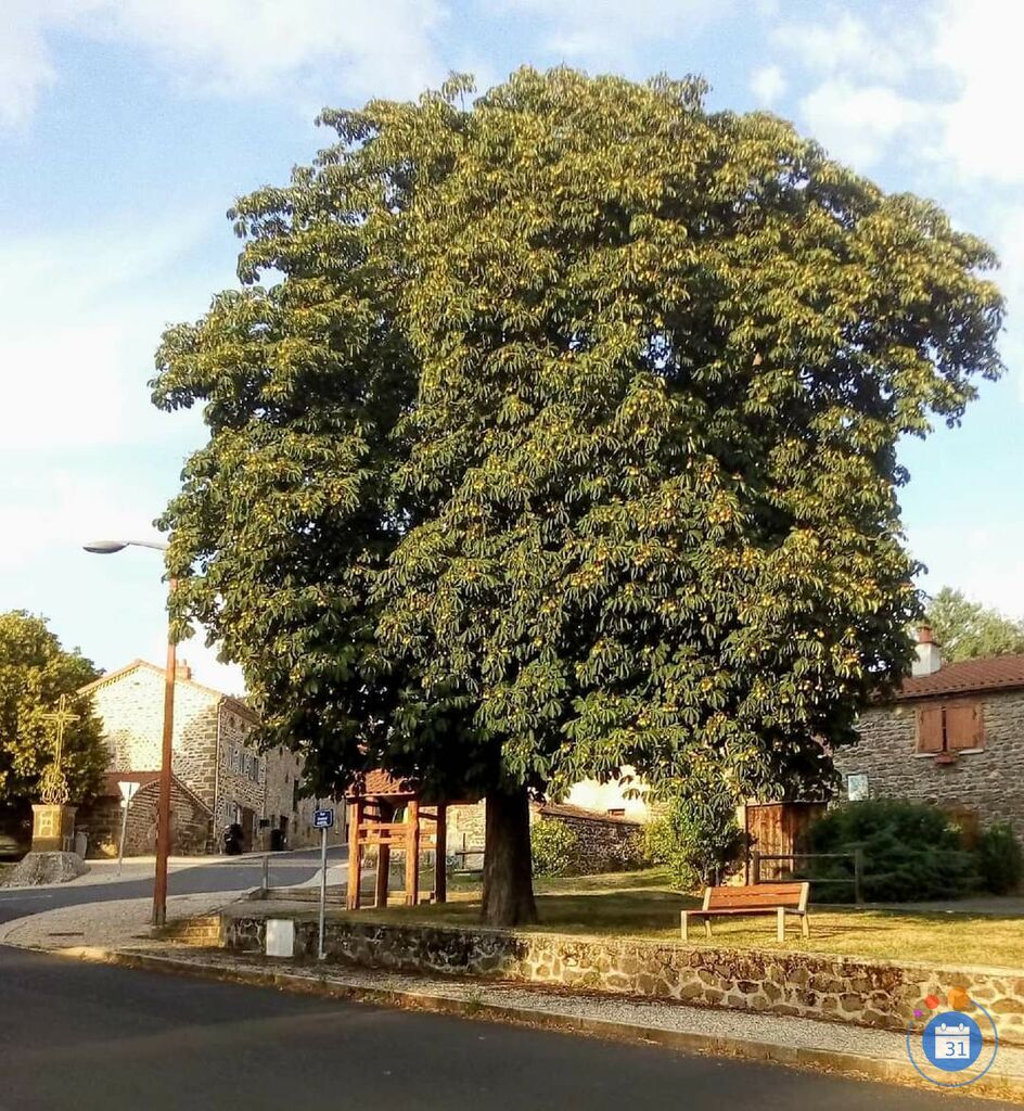 Image Fête du village (photo 1)