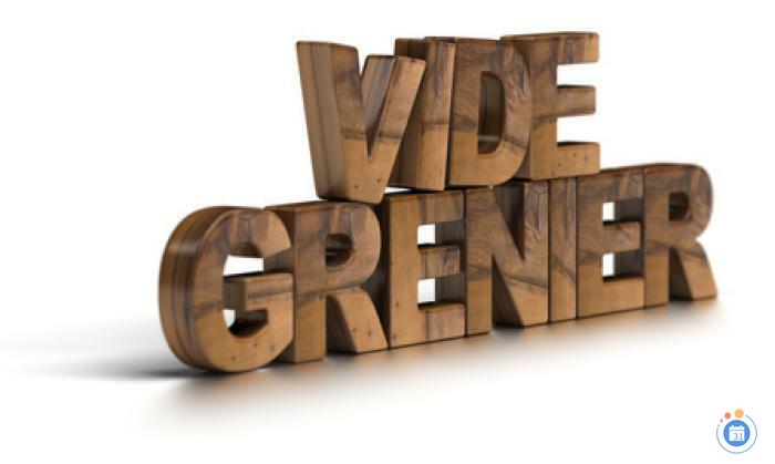 Image Vide - ggrenier de villejoint (photo 1)