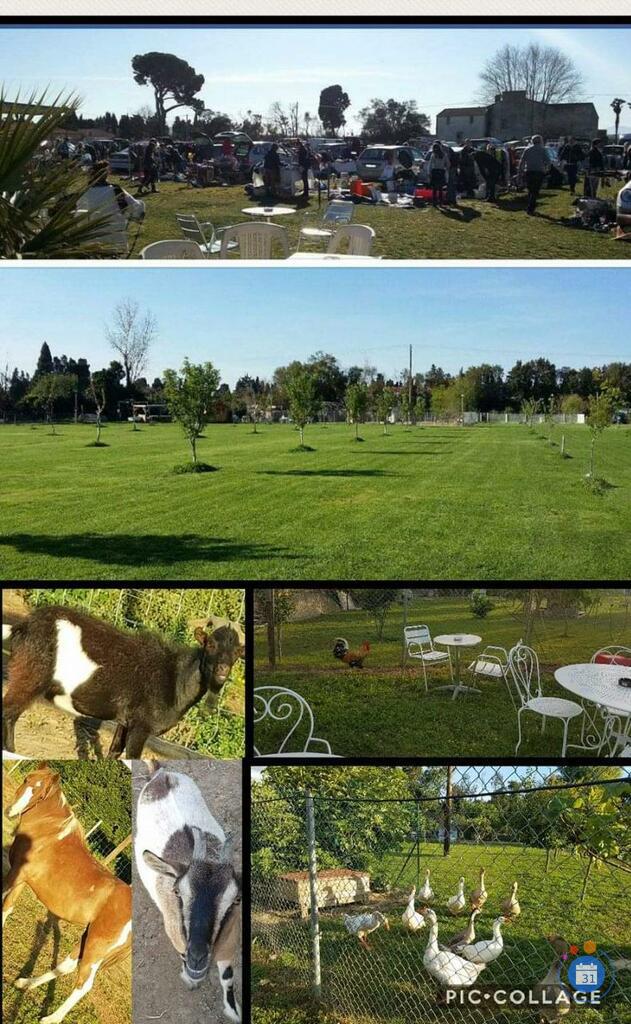 Image vide-grenier entrée de Bompas sur réservation (photo 1)