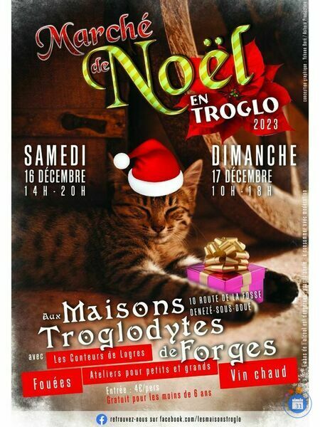 Image Noël en troglo (photo 1)