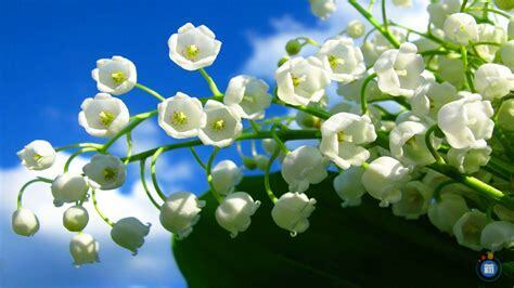 Image Vide Grenier de l'Amicale (photo 1)