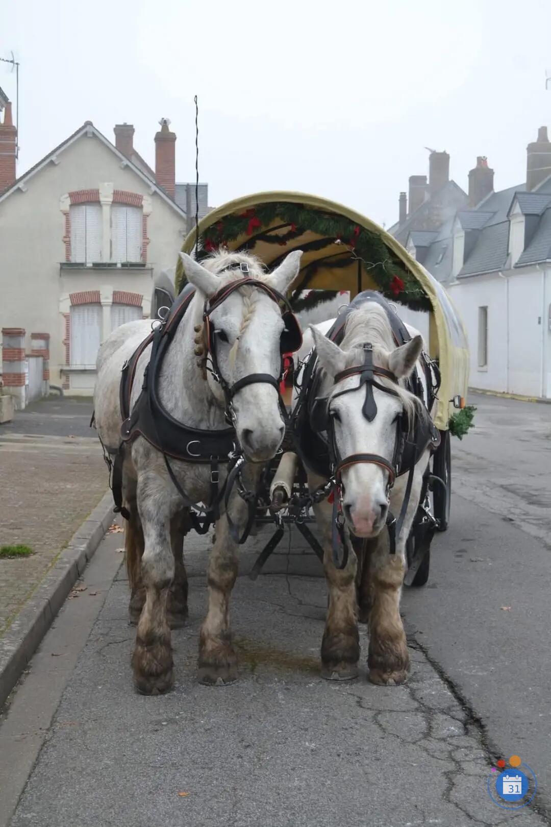 Image Marché de Noël (photo 1)