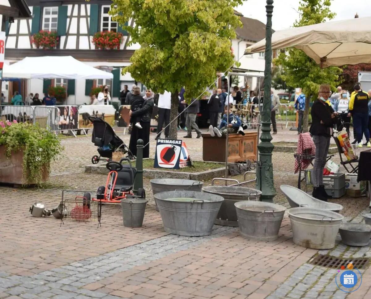 Image Vide-Grenier de Seebach (photo 1)