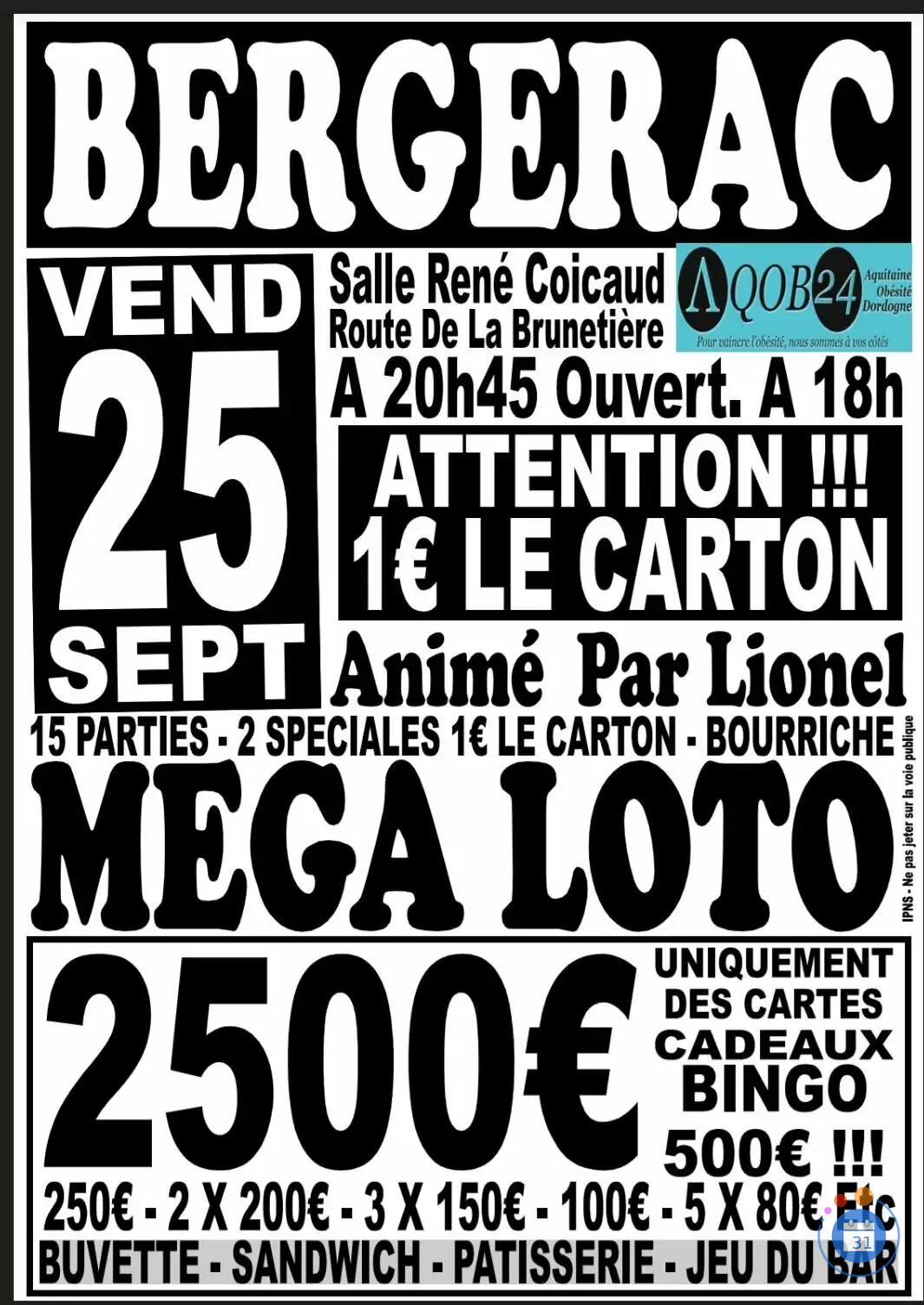 Image MEGA LOTO (photo 1)