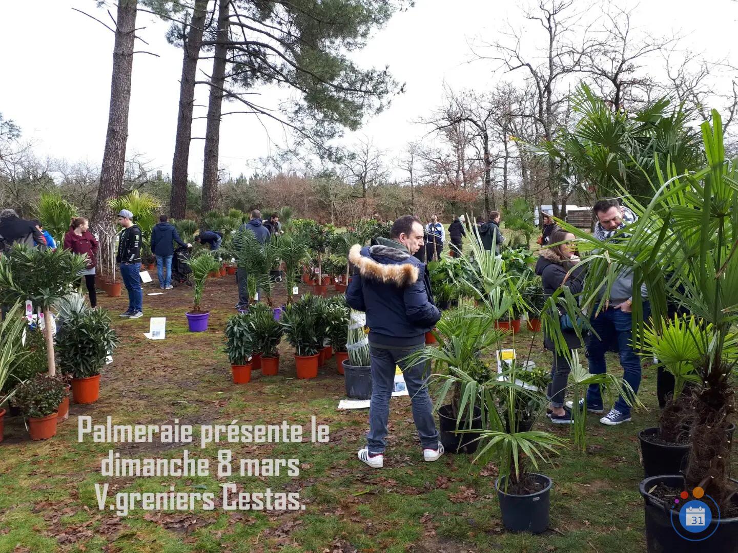 Image vide greniers brocante. (photo 3)