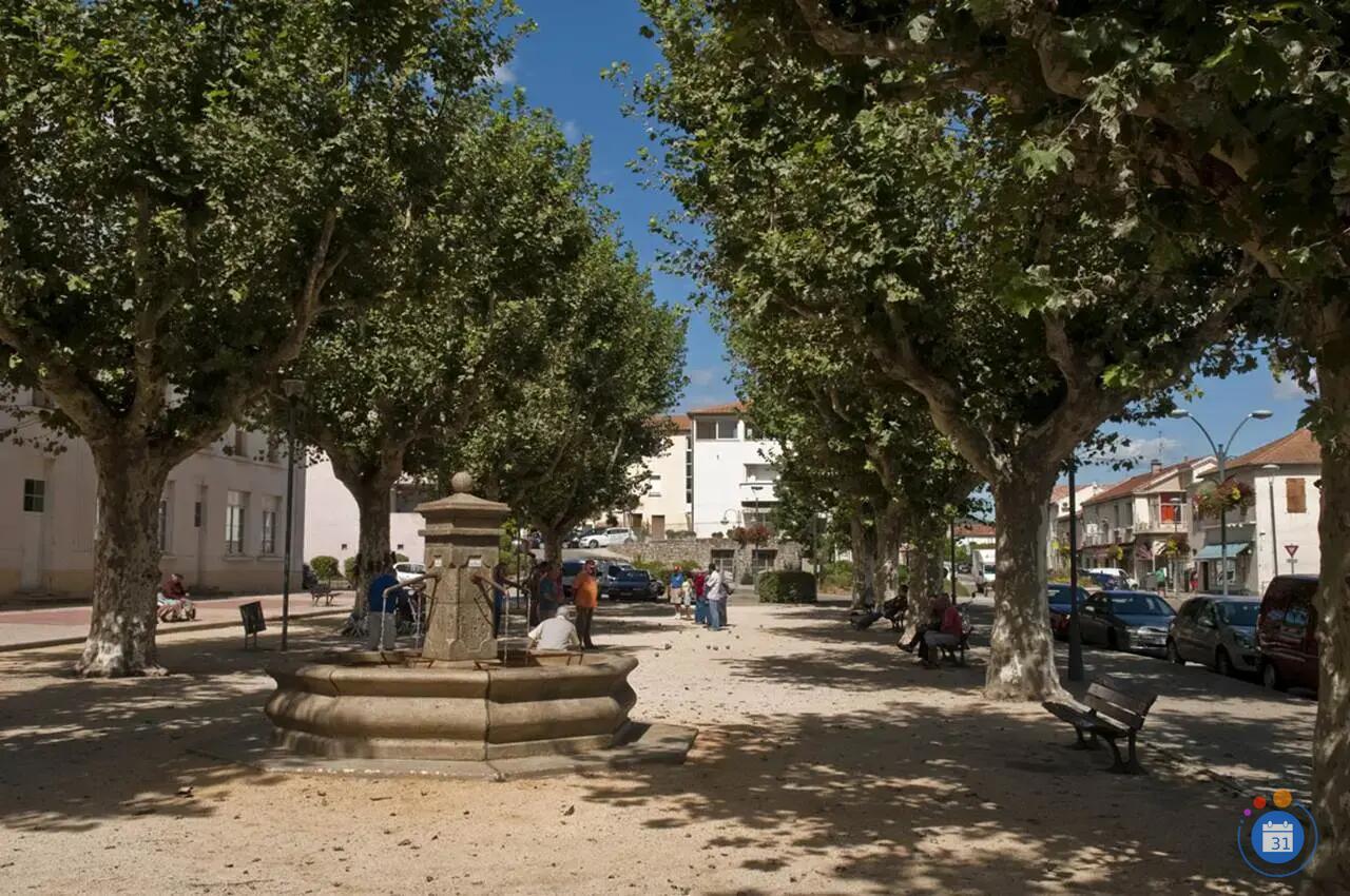 Image Vide Grenier (photo 1)