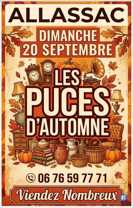 Image LES PUCES D'AUTOMNE (photo 1)