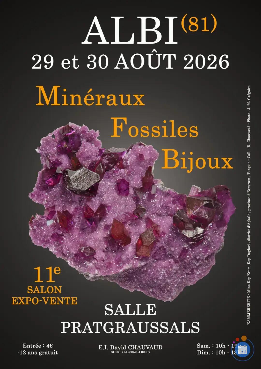 Image 11e SALON MINERAUX FOSSILES BIJOUX d'ALBI (Tarn) (photo 1)