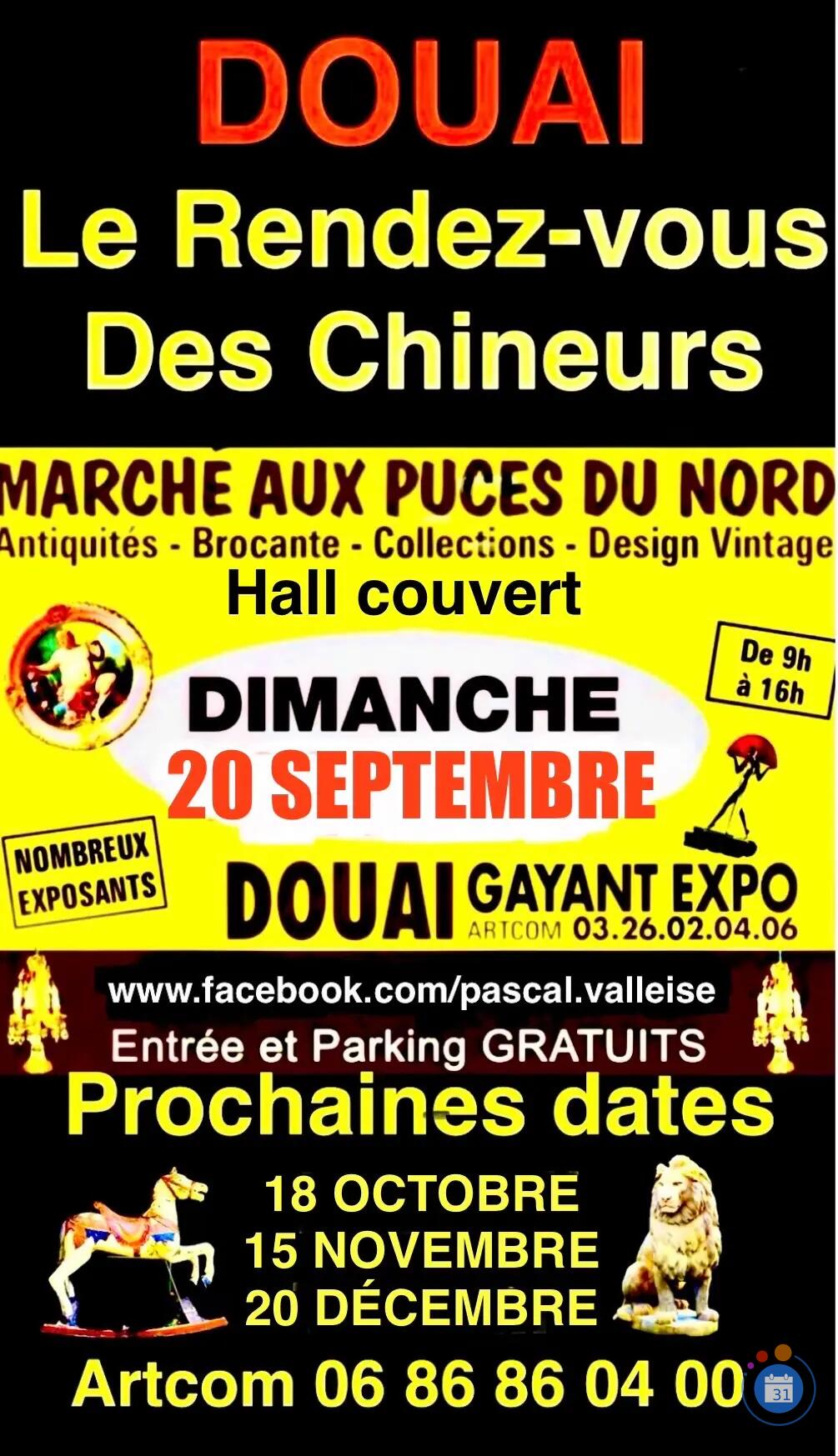 Image Marché aux Puces du Nord à Gayant Expo DOUAI (photo 1)