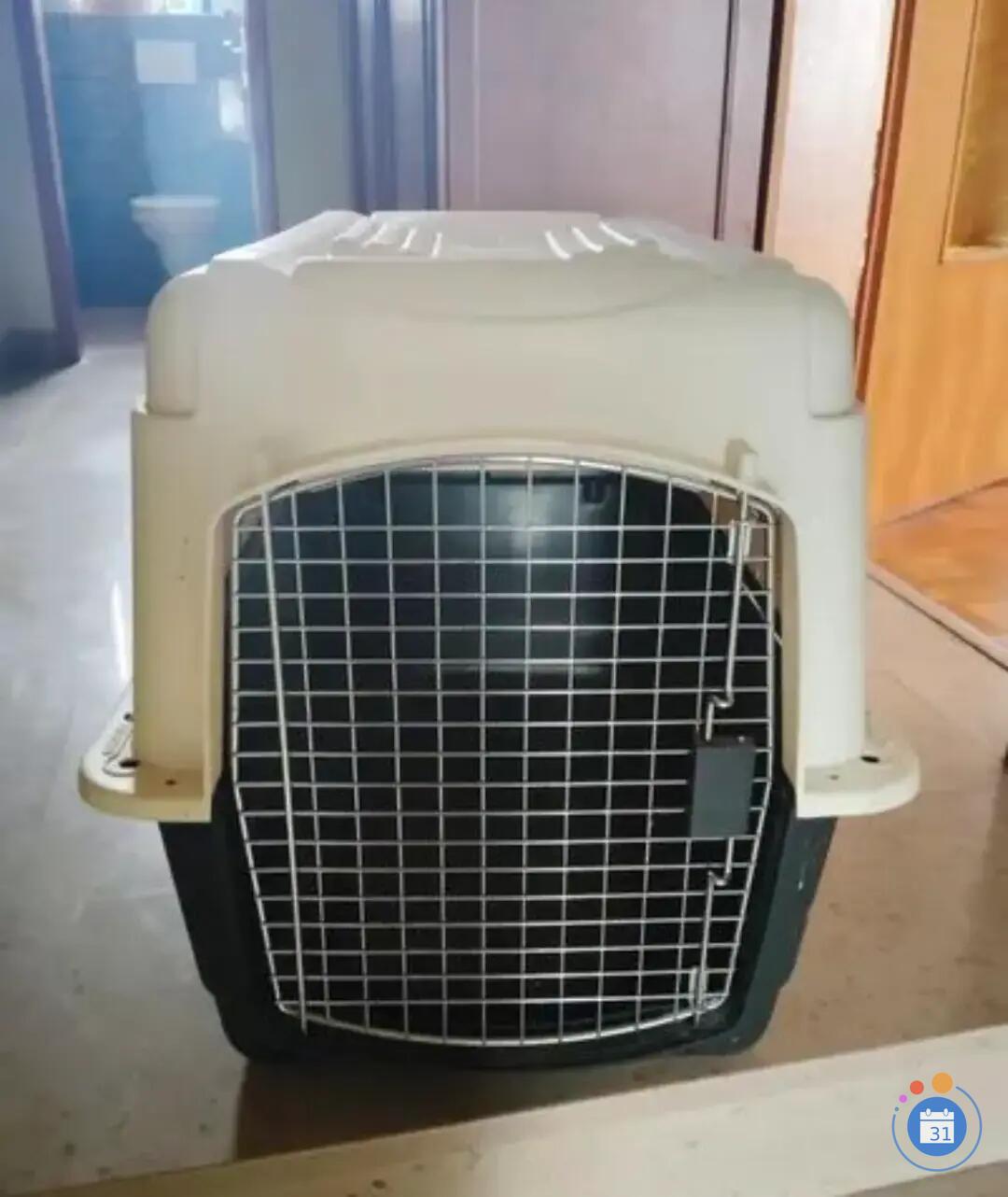 Image Puce à domicile tout matériel et autres pour animaux (photo 3)