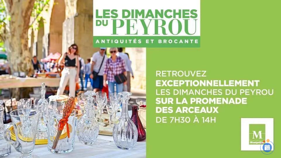 Image Les Dimanches du Peyrou sur La Promenade Royale (photo 2)