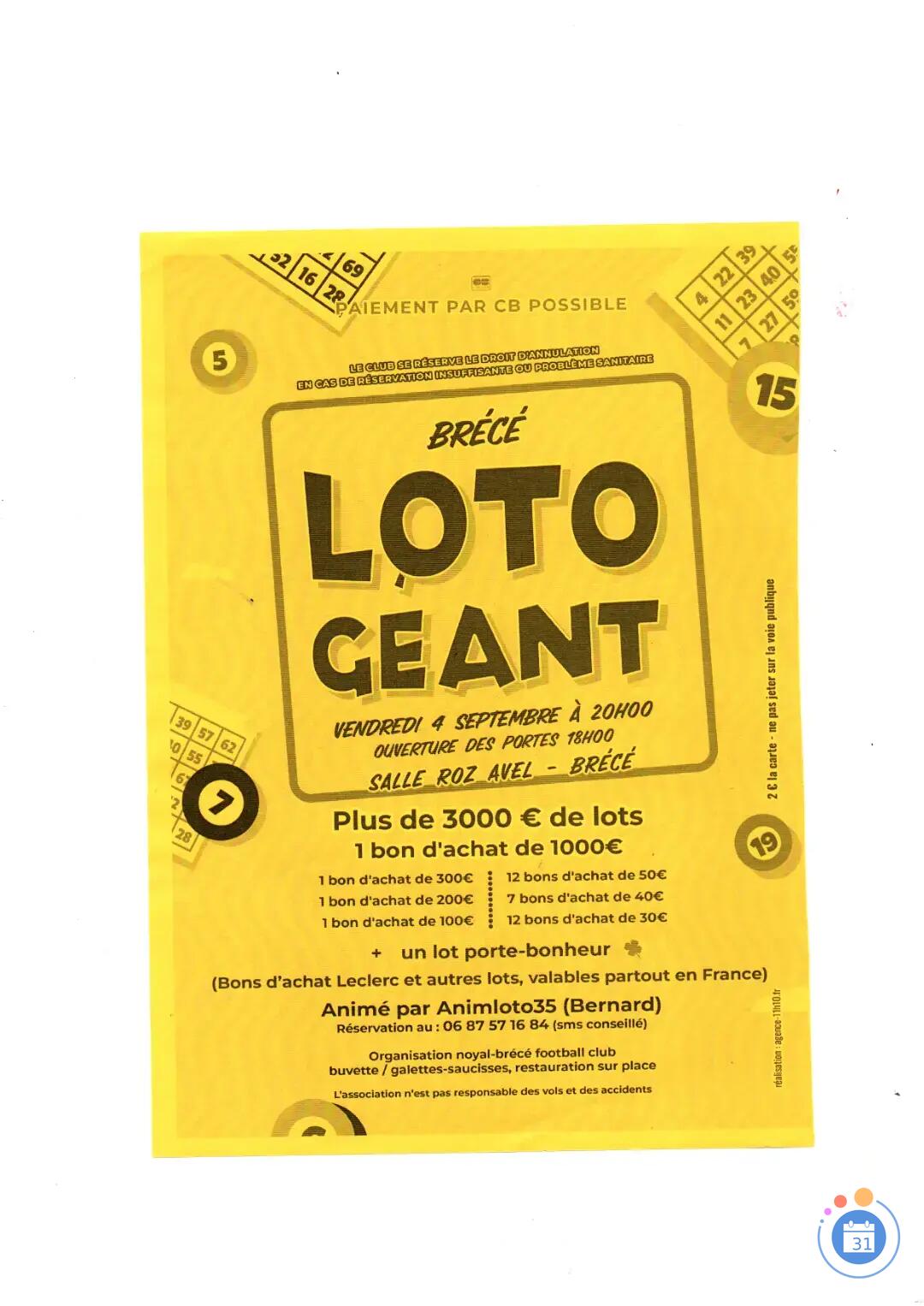 Image loto geant Anime par Bernard Animloto35 (photo 1)