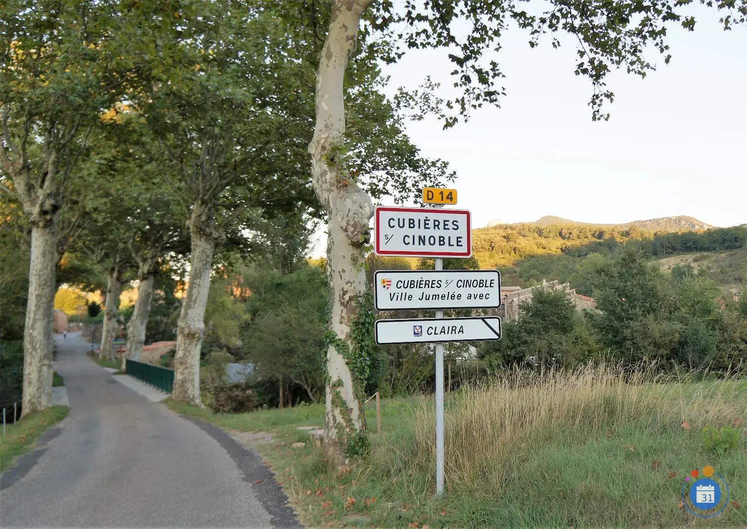 D 14