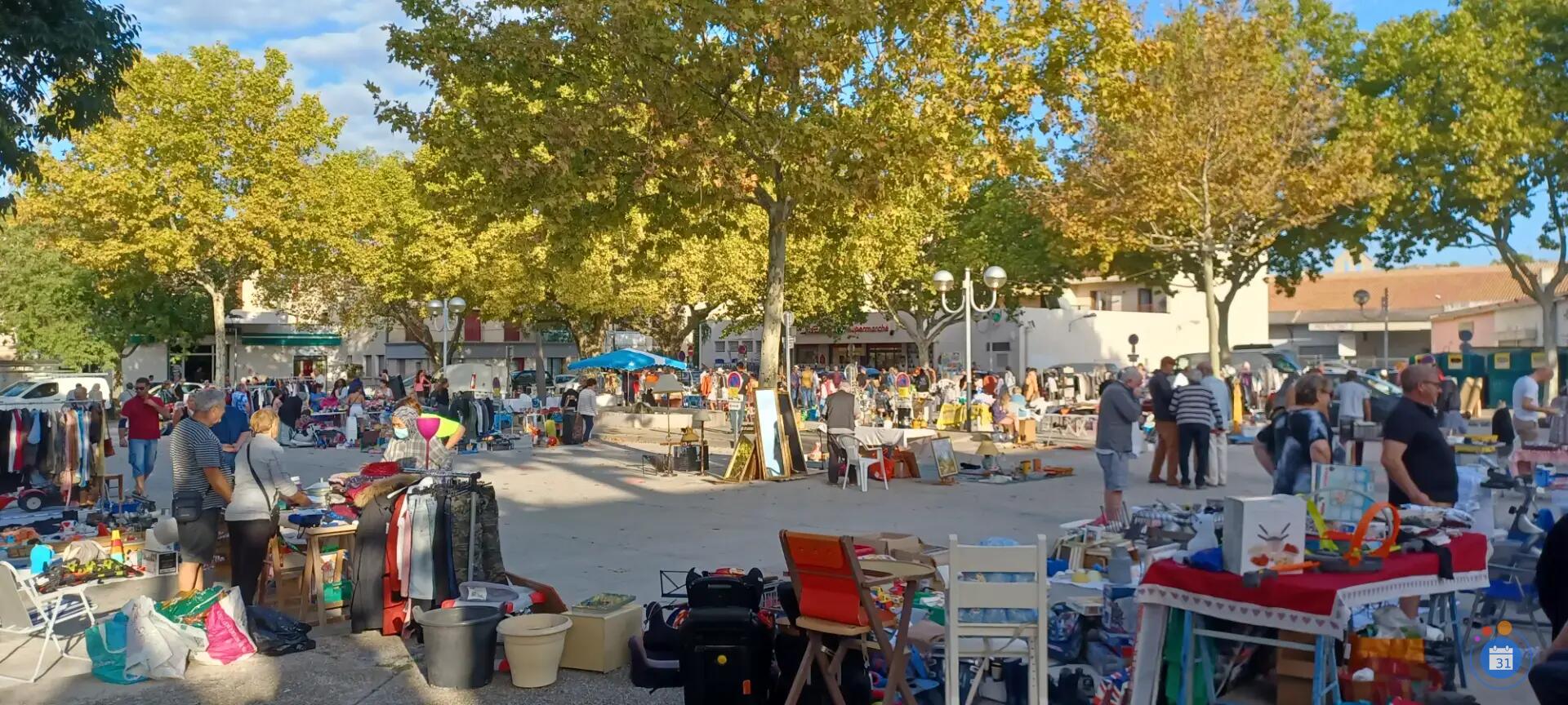 Image Vide-grenier de la pertuisienne (photo 1)