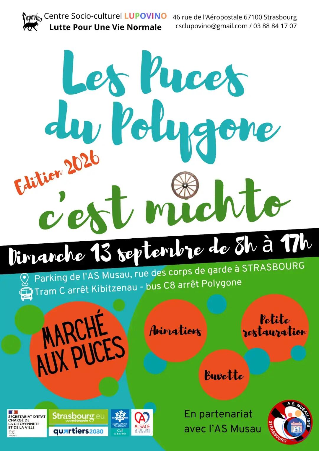 Image Puces du Polygone (photo 1)
