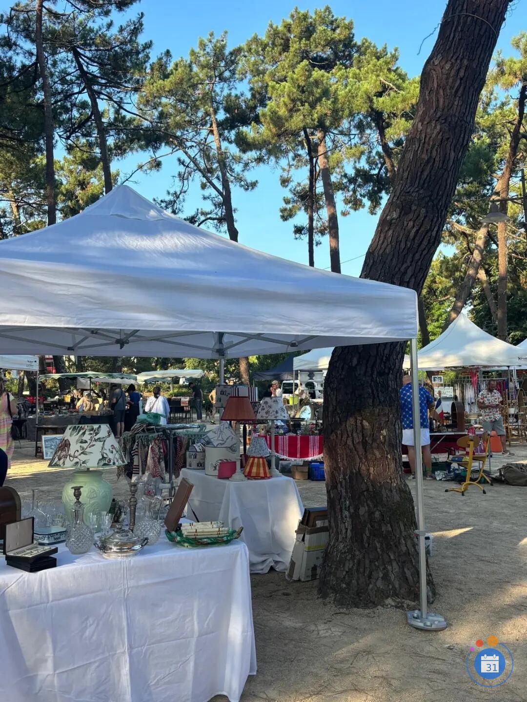 Image Brocante du mardi au jardin public à Hossegor (photo 3)