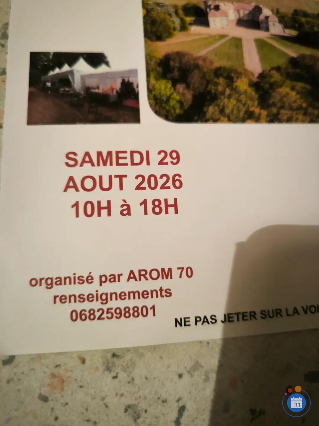 Image Les ANTIQUAIRES s'invitent au CHATEAU de RAY sur SAÔNE (photo 3)
