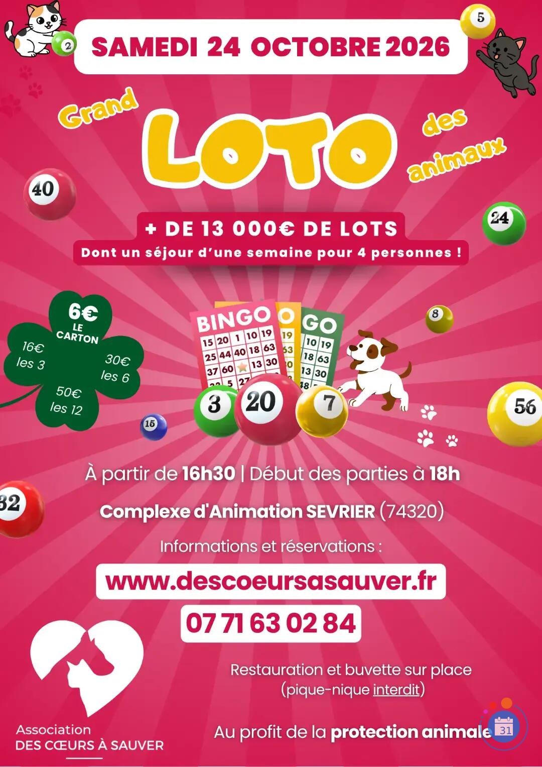 Image Grand Loto des Animaux (photo 1)