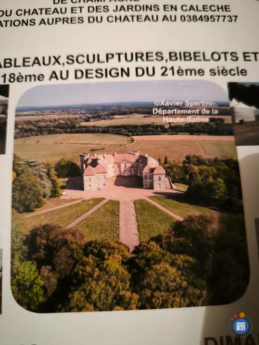 Image Les ANTIQUAIRES s'invitent au CHATEAU de RAY sur SAÔNE (photo 2)