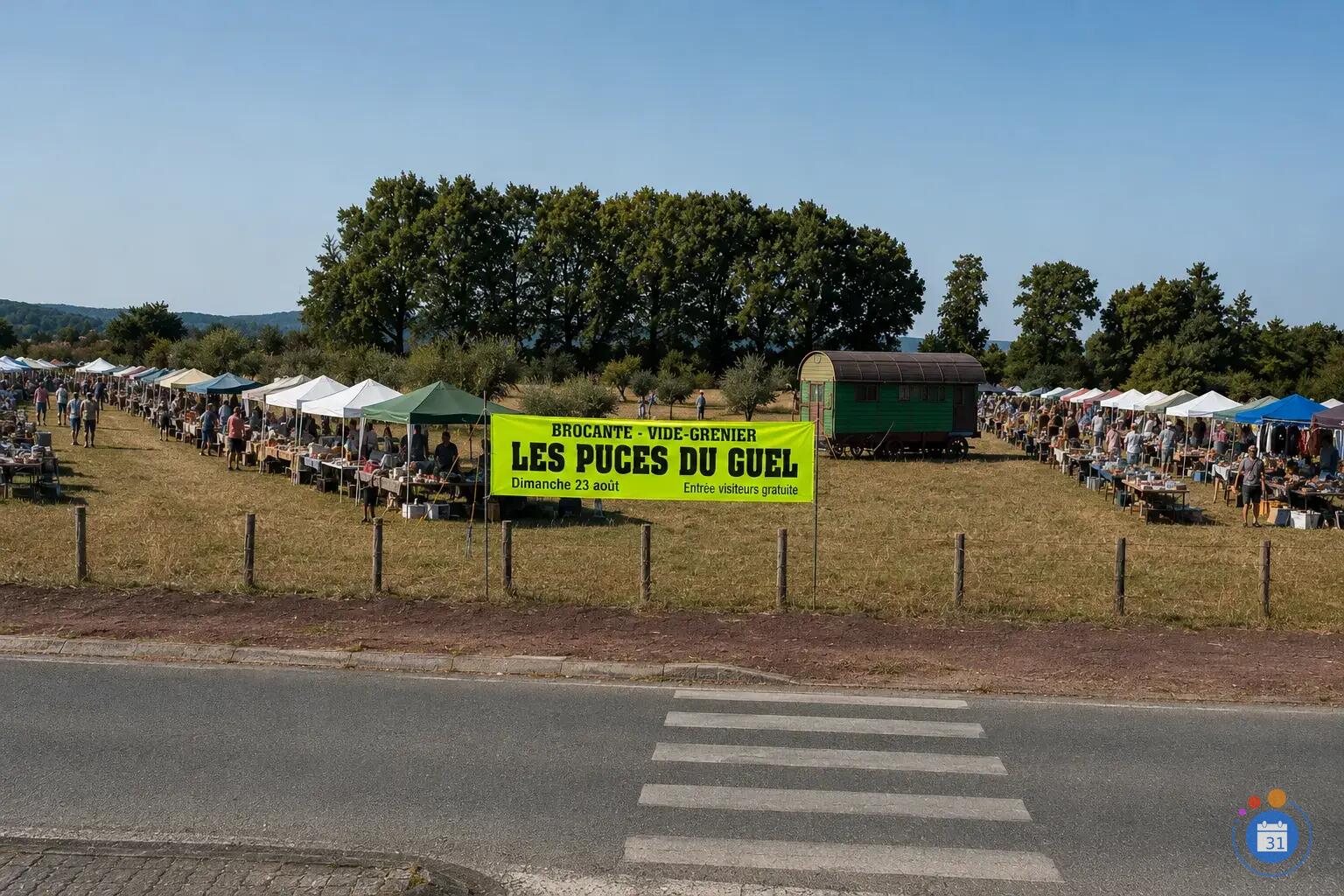 Image LES PUCES DU GUEL (photo 1)