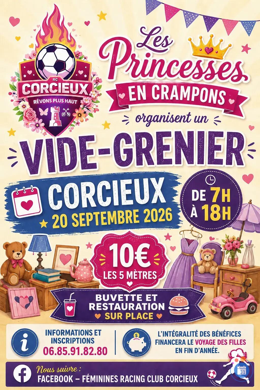 Image Vide grenier des princesses en crampons (photo 1)