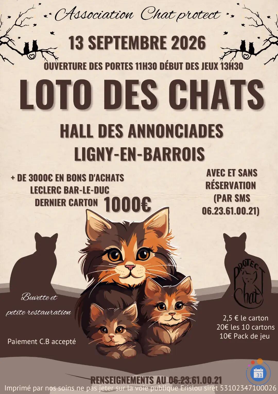 Image Loto des chats de Ligny-en-Barrois (photo 1)