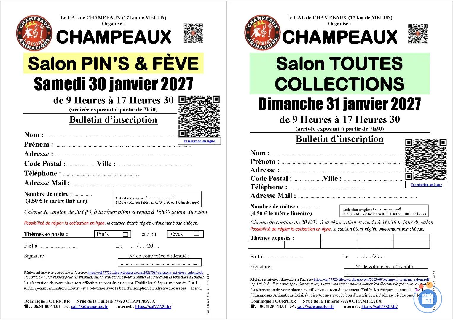 Image Salon Multicollections du 31 janvier 2027 à CHAMPEAUX (77) (photo 2)