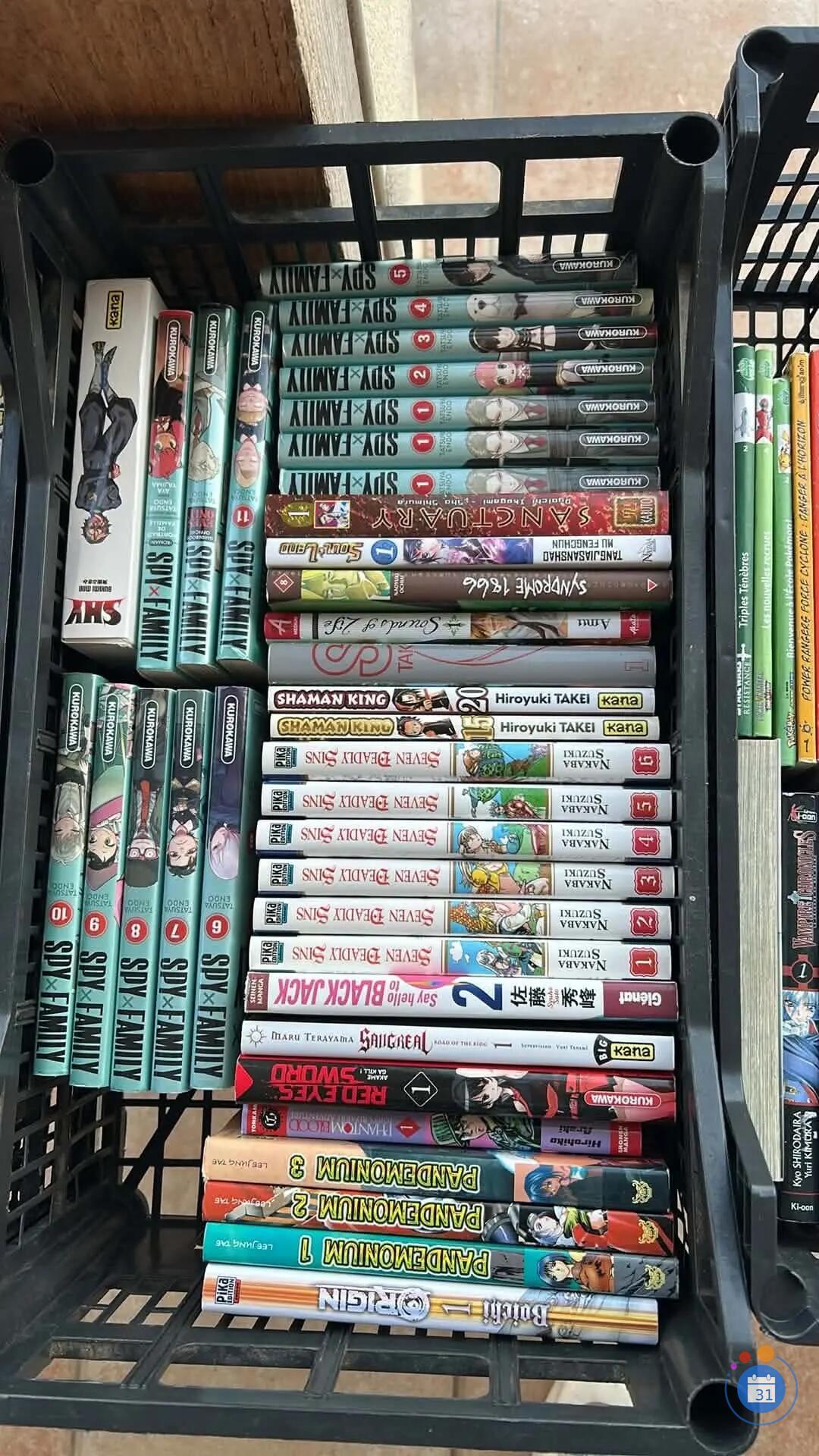 Image vie de chambre, collection figurine, mangas, bande dessinée, jeux, vidéo, carte (photo 3)