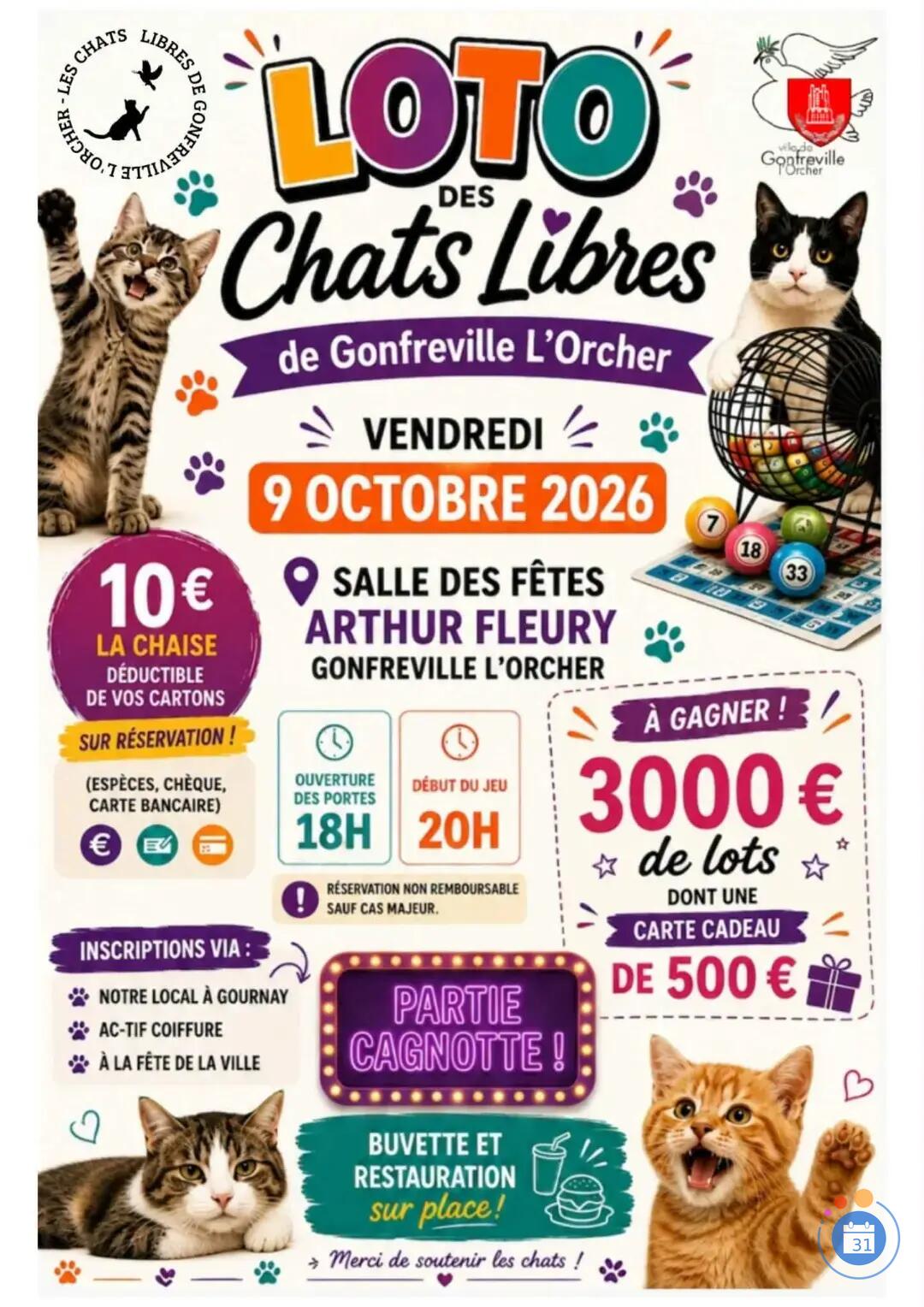 Image Loto Les chats libres de Gonfreville l'Orcher (photo 1)