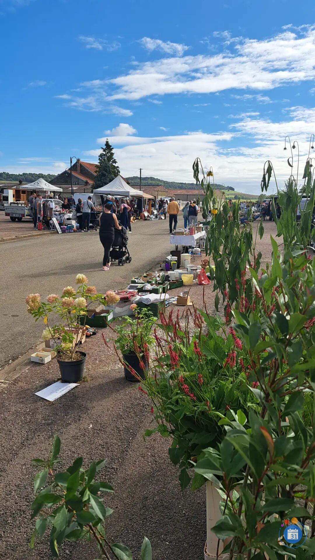 Image Vide grenier (photo 2)